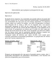 Antecedentes para preparar presupuesto de caja DESARROLLADO.doc