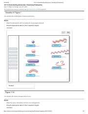 CH 11 Characterizing & Classifying Prokaryotes.pdf