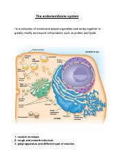 The endomembrane system.pdf