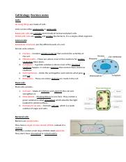 Cell biology.docx