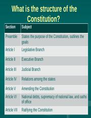 The Constitution.pptx