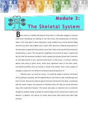 Skeletal System Introduction.pdf