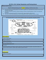 Group 1 Photosynthesis and Cellular Respiration .pdf