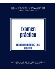 FIGUEROA RODRIGUEZ LUIS ALBERTO_EXAMEN PRACTICO_A01.pdf