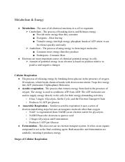 Biology Notes -  Cellular Respiration .pdf