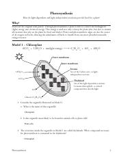 Maya Burnett - 11 Photosynthesis-S.pdf