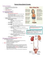 Renal.Urinary Study Sheets.pdf
