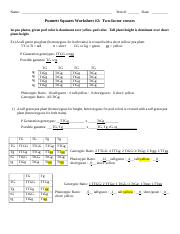 Punnett Square Worksheet 2 -- Two-factor cross worksheet -- answer key