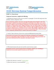 10.01 Nervous System Comprehension.docx
