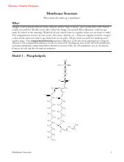 4_Membrane_Structure-S (1).pdf