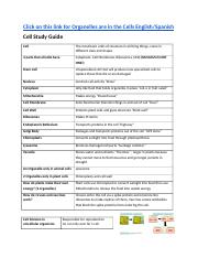 Eng Answers Cell Study Guide .docx