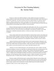 L3B - Justine Many.pdf