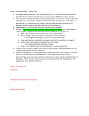 Group case work document v3 W-2023 5101-17.docx