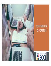 CONTABILIDAD FORENSE .pptm