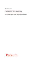 the-social-costs-of-policing.pdf