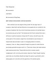 Micro essay (2).pdf