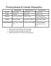 Chapter 8 & 9 Photosynthesis & Cellular Respiration Review.pdf