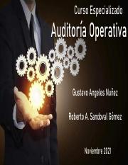 Auditoría+Operativa+(S4).pdf