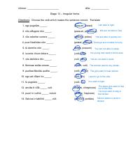 Language-Stage 13 Irregular Verb.pdf