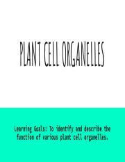 Guided notes-Plant Cell Organelles (with Answers).pdf