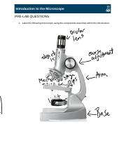 Intro Microscope.docx