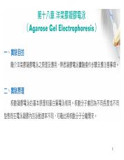 DNA electrophoresis (200905).pdf