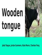 Wooden Tongue group 14.pptx
