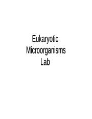 Eukaryotic Microorganisms Lab.pptx
