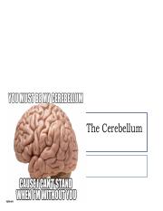Notes 3. Cerebellum.pdf