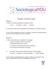 Chapter-3-Practice-Quiz-1.docx