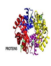 Proteins (1).pptx