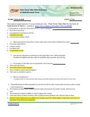 P#1 TubeWorms-Questions.docx
