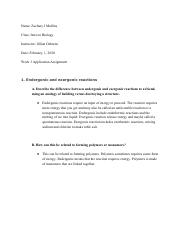 W3_ Application Assignment.pdf