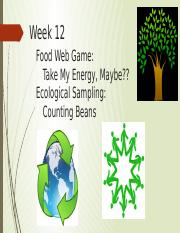 Week 13 _ Food Web & Ecological Sampling.pptx
