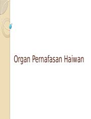 Organ pernafasan haiwan