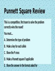 Punnett Square Review Competition (2)