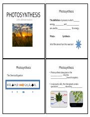 photosynthesis notes.pdf
