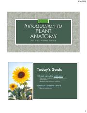 F22Week04 Plant Anatomy - Stems.pdf
