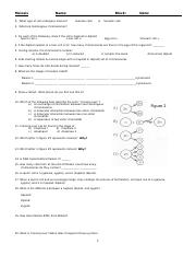 Meiosis Review.doc