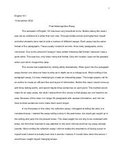 metagognitive essay (1).pdf