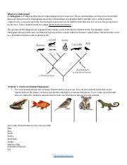 What is a Cladogram .docx