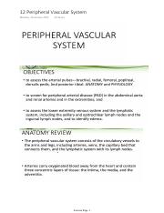 12 Peripheral Vascular System.pdf