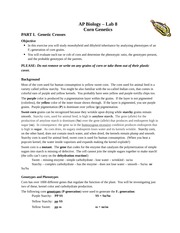 AP Biology Lab Corn Genetics (Chi-Square)