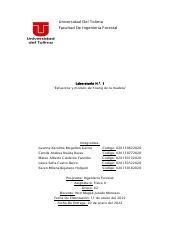 Informe Laboratorio Nº1 Fisica II.pdf