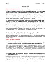Lab 1 Special Senses - Questions - SA (1).pdf