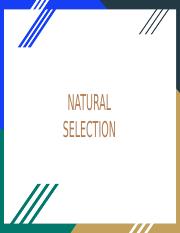 Copy of Types of Natural Selection.pptx