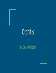 Orchitis_CeasHetiback (1).pptx