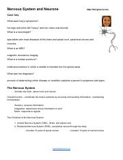 Cruz H_Nervous System (MS and Neurons) part 1 guided notes.pdf