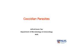 19.coccidian parasites.pdf