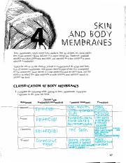 Skin and Body Membranes Coloring Book.pdf